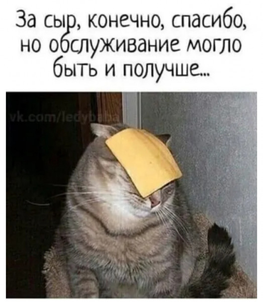Так себе картинки 15.02.22