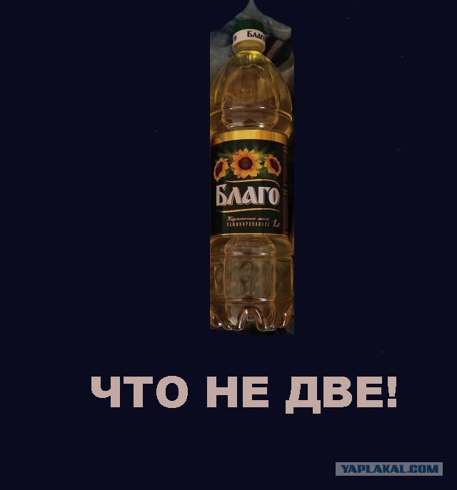 На фото - тысяча рублей