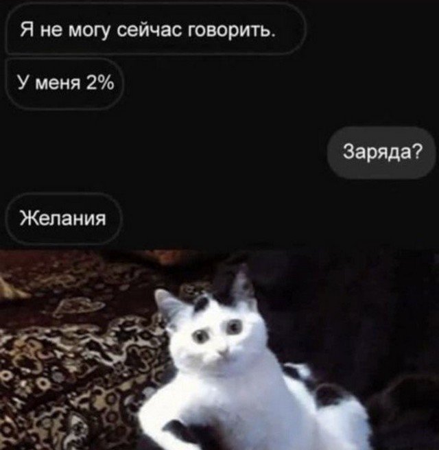 Так себе картинки 30.05.22