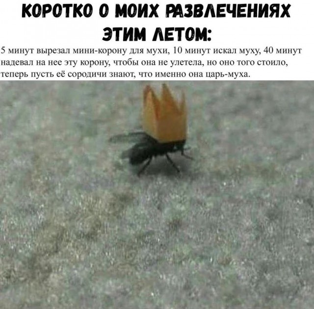 Картинки и мемы для настроения - 03