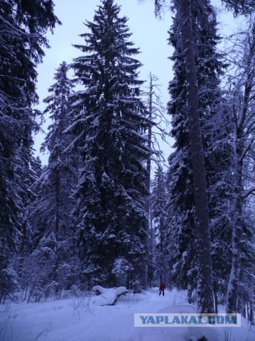 Космодром Плесецк