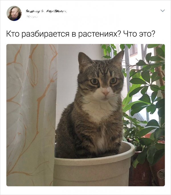 Так себе картинки 07.12.22