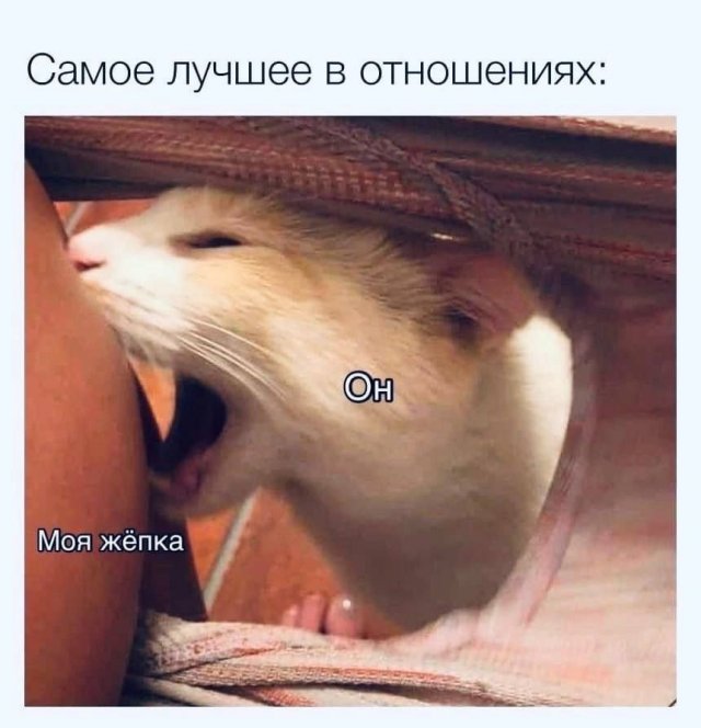 Немного картинок для настроения/постпраздничное