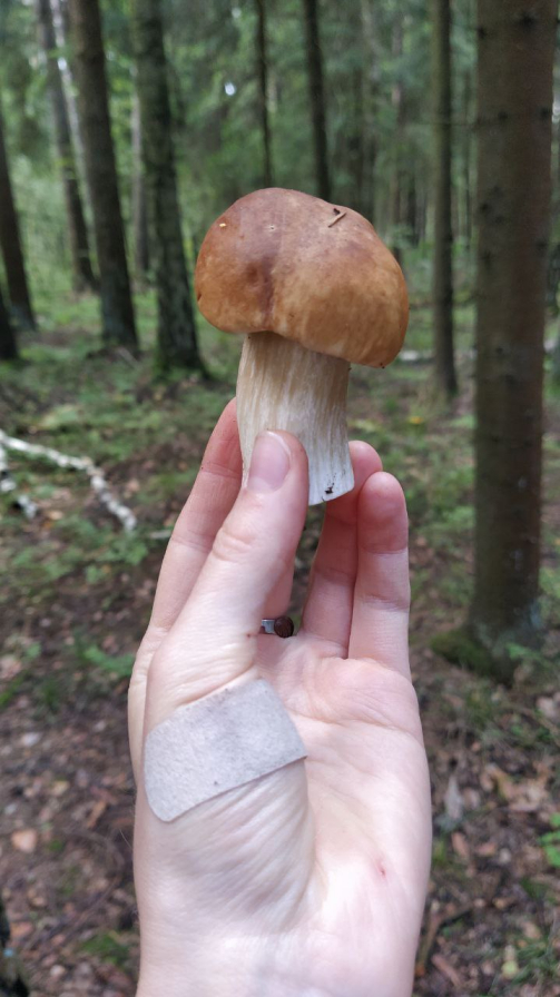 Литературный конкурс "Три Кокоса" 2023. Читаем работы