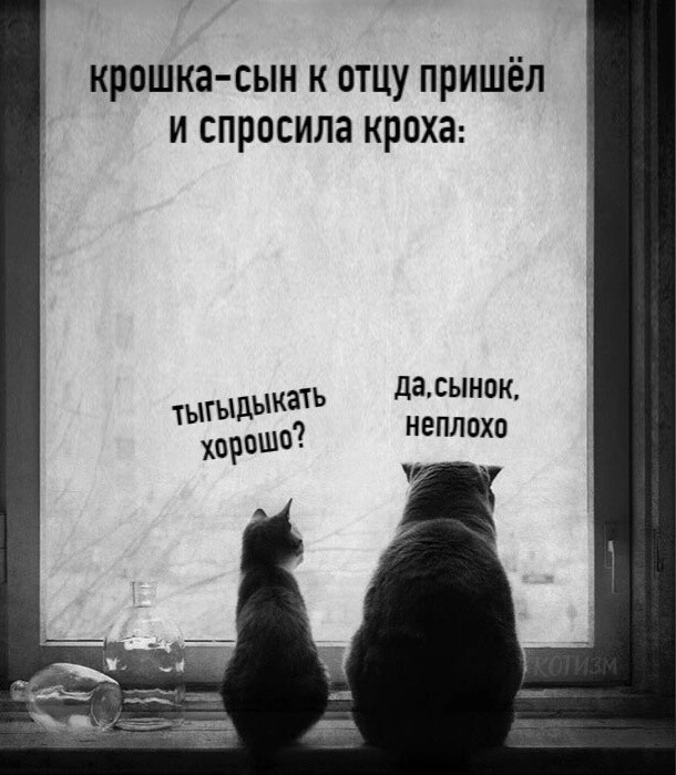 Отряд быстрого деградирования
