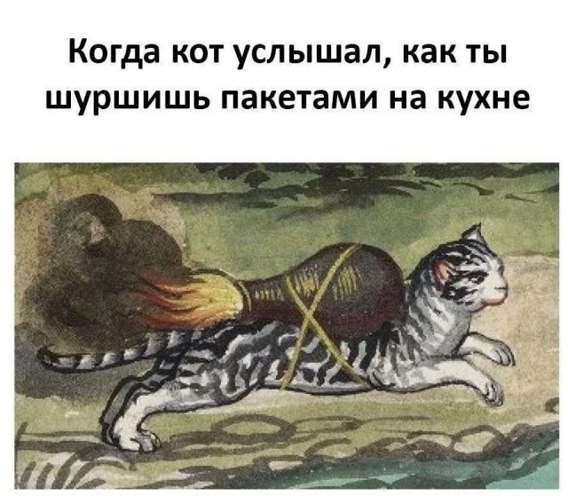 Недопятница 09-11-2023