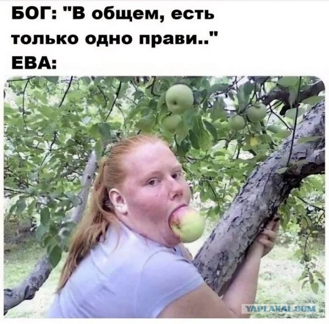 Приколы с налетом деградации