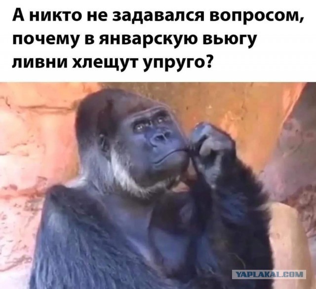 Улыбательные картинки околоновогодней тематики.