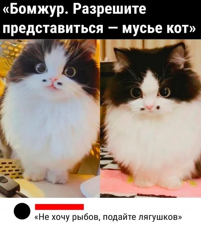 Папа, покажи оленя