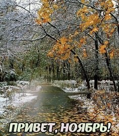 Прикольные и просто красивые картинки 01.11.2024