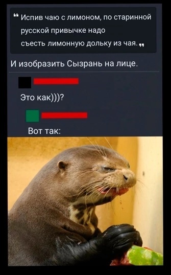 Так себе картинки 25.12.24