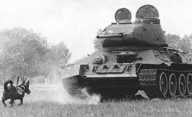 Фотографии из прошлого нашей страны – 105
