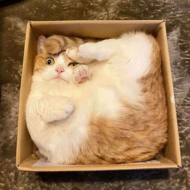 ФотоВинегрет