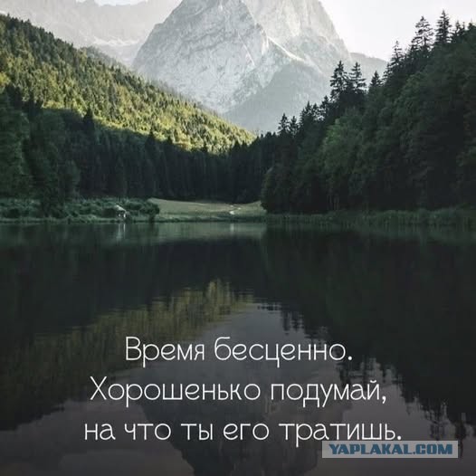Веселые картинки в пятницу (07.11)