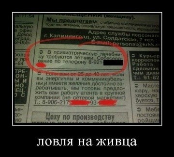 Субботние картинки