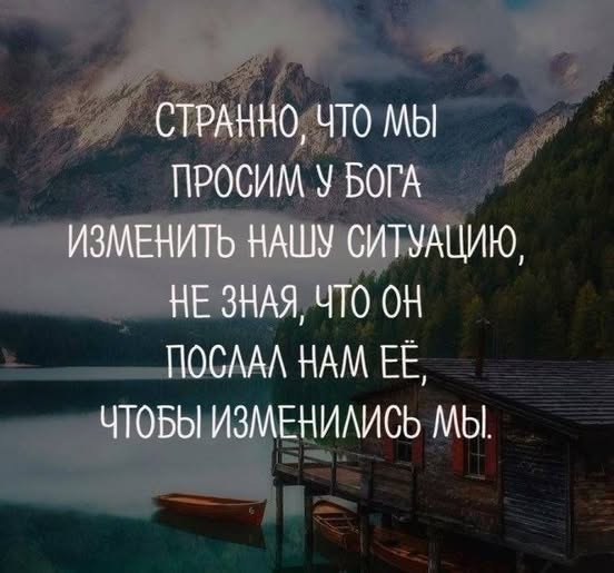 20682618.jpg