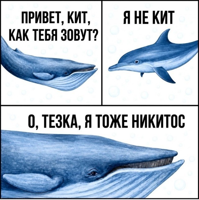 Картинки для деградации 265 (разной степени свежести)