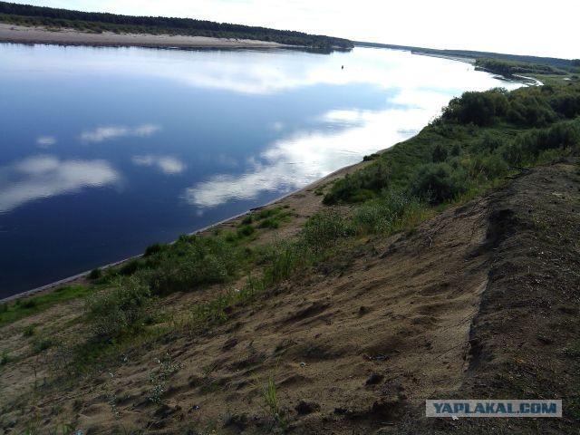 Две тихие охоты