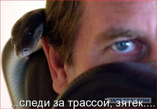 Тёща купила сырок, а под глазурью творожного сырка
