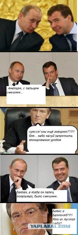 Где же ёж ?!