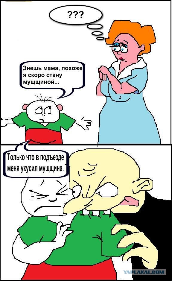Истории в картинках