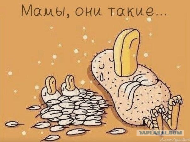 Я хочу замуж