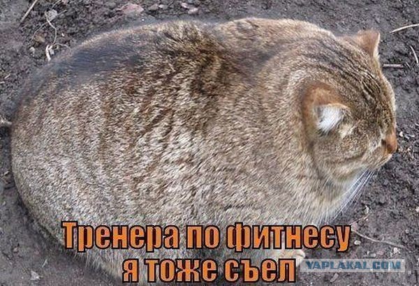Культуризм вреден?