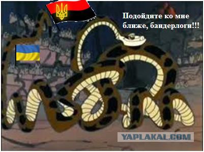 Во Львове паника