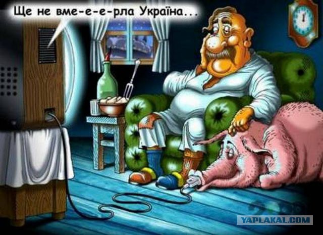 Понравилось.