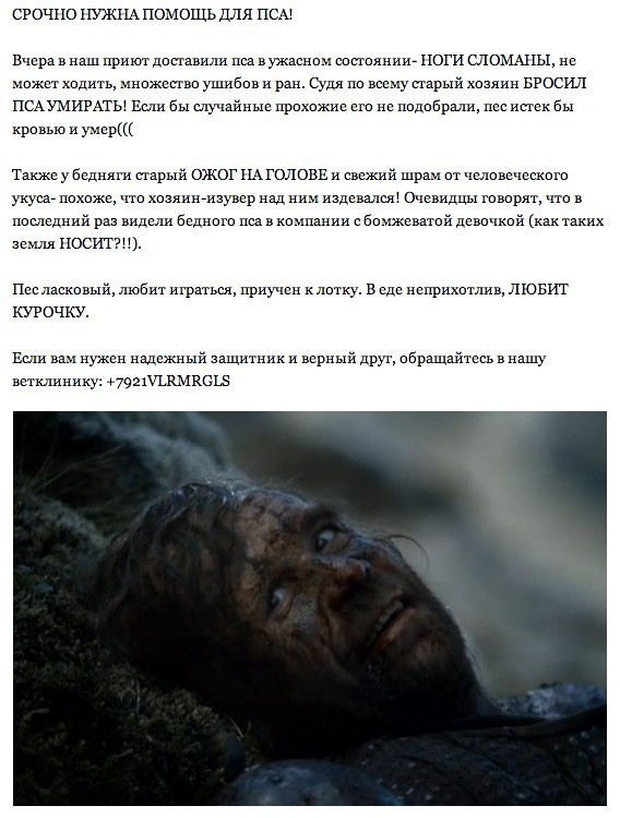 Смешные комментарии из соц.сетей