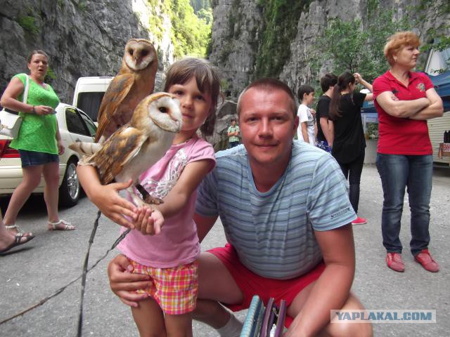 Нужен совет!