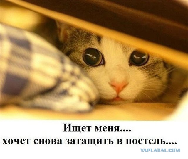 Чёрт, чёрт, чёрт!