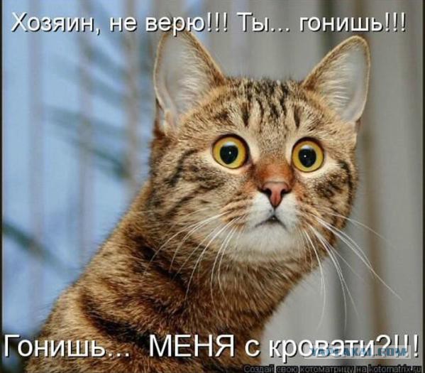 Весёлое из сети