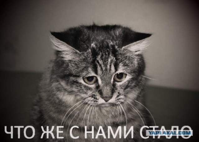 А не открыть ли нам