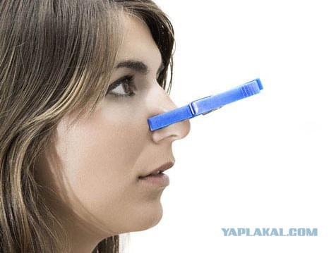 Покормил рыбок