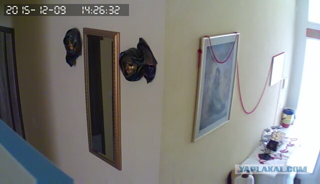 За что я люблю китайцев