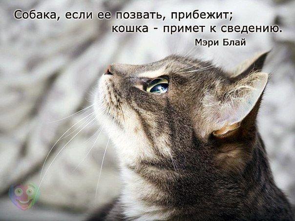 Всяко - разно...картинки