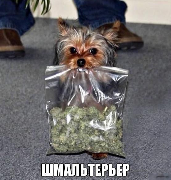 Абсурдный юмор ч.2