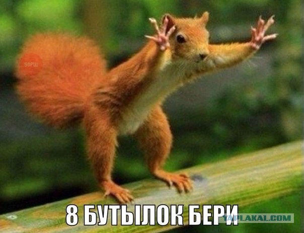 Подборка картинок
