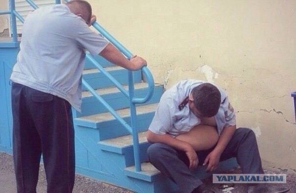 Ужасы и приколы из соцсетей