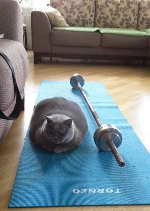 Смешные картинки
