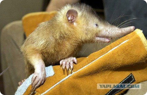 Подборка интересных и веселых картинок