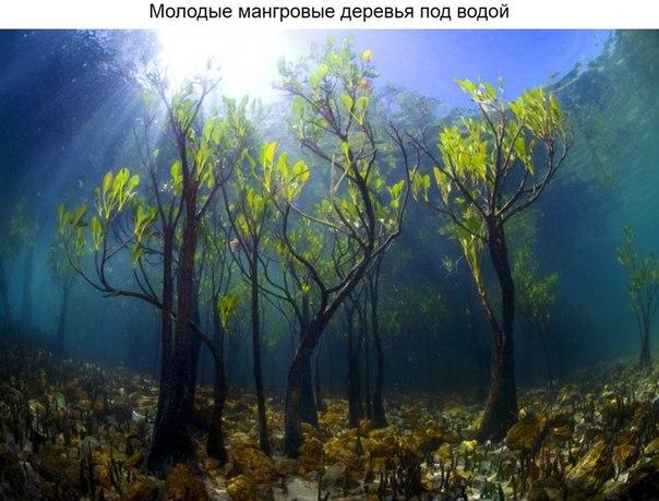 Разные фото. Прикольные и красивые