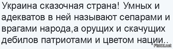 ЕСПЧ дал ход жалобе против украинских властей из-за крушения Boeing