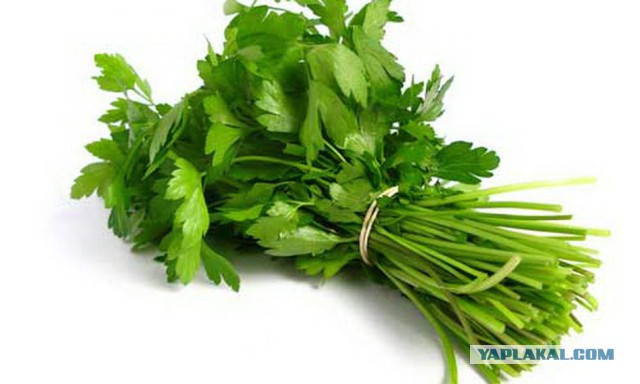 Балкон (рассказ)