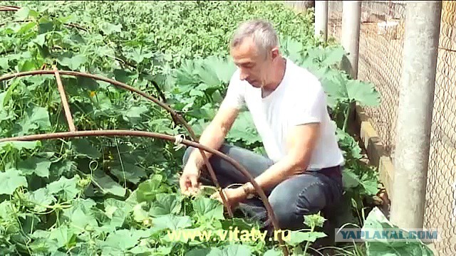 Сколько времени мы могли бы прожить на других планетах?