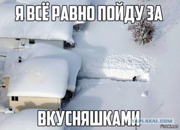 Подборка интересных и веселых картинок