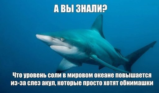 Картинки с анекдотами