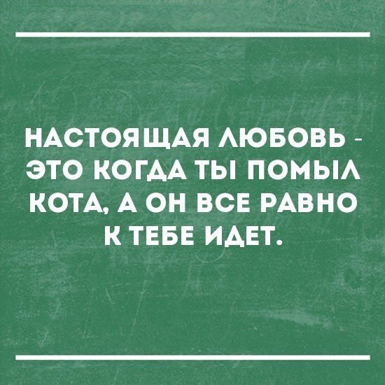 Прикольные картинки 04.06.2017