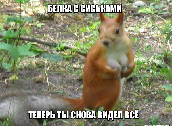 Экспериментальный чёрный юмор